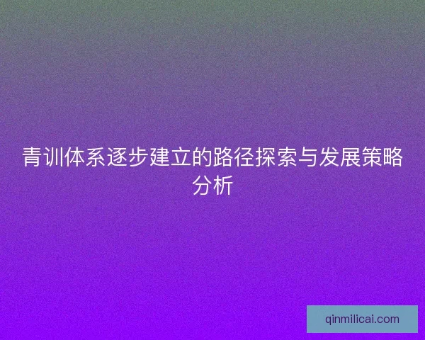 青训体系逐步建立的路径探索与发展策略分析 青训体系逐步建立的路径探索与发展策略分析